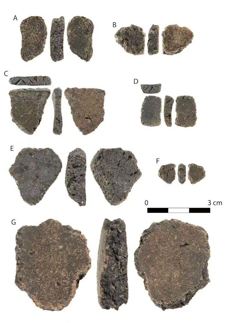 Pottery pieces excavated at Jiigurru
