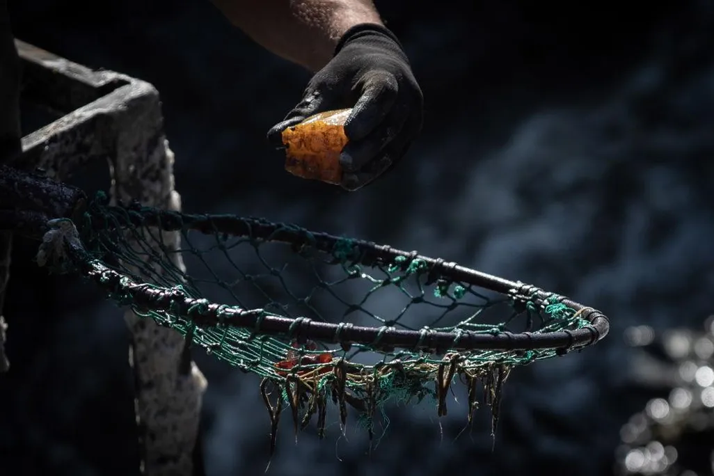 mining amber.jpg
