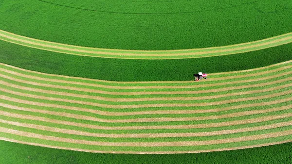 The Waltz of Harvest 05 thumbnail