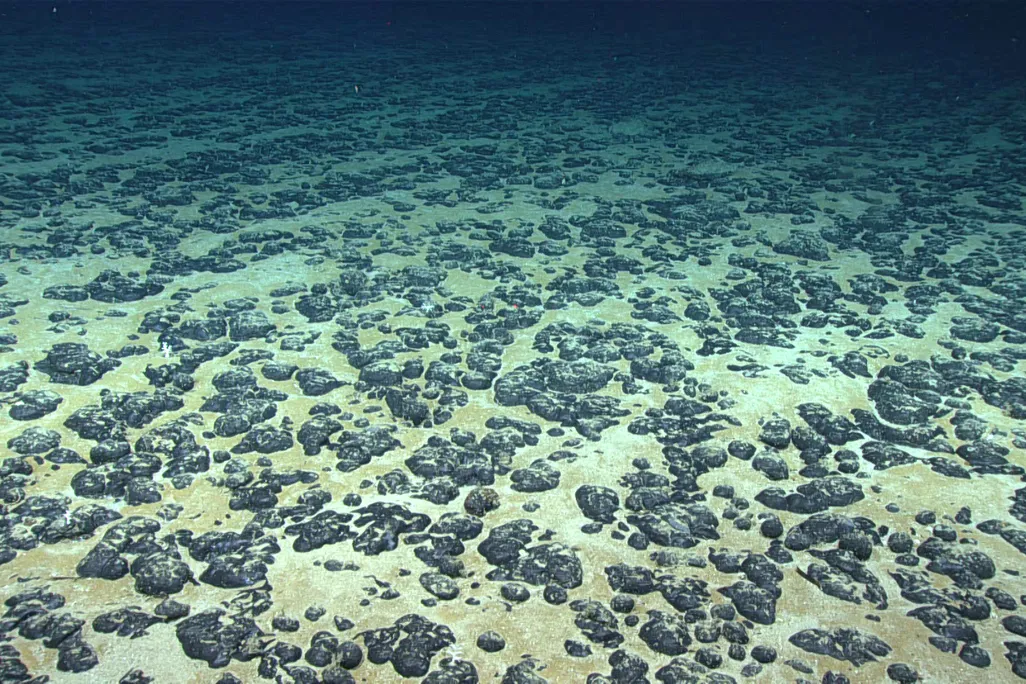 Lumpy objects covering sandy sea floor under the water