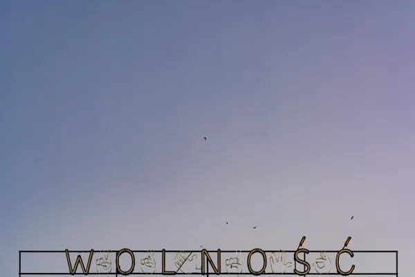 Freedom in the Evening Sky thumbnail