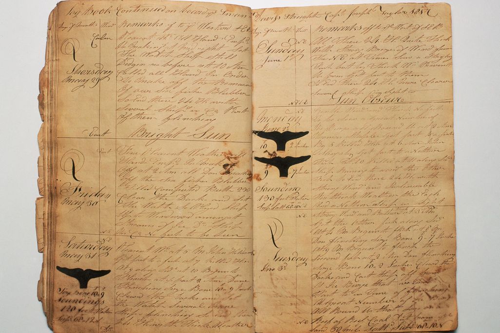 Whaling Log