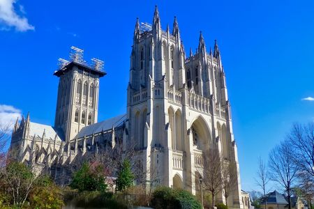 Matthew Shepard will be interred at the Washington National Cathedral later this month
