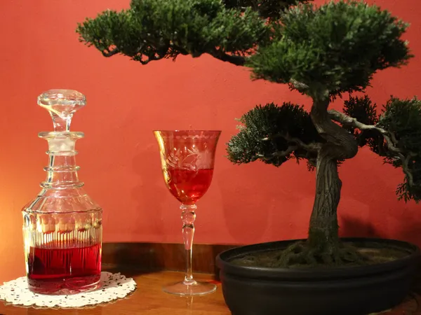 A Bonsai, cognac and decanter thumbnail