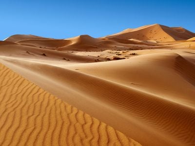 The Sahara, the world’s largest non-polar desert, may be at least 7 million years old.