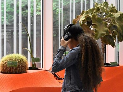Visitors interact with living sound artworks in the "Sonic Succulents" installation by Adrienne Adar
