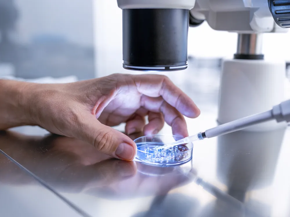 Hand holding a petri dish under a microscope in a lab