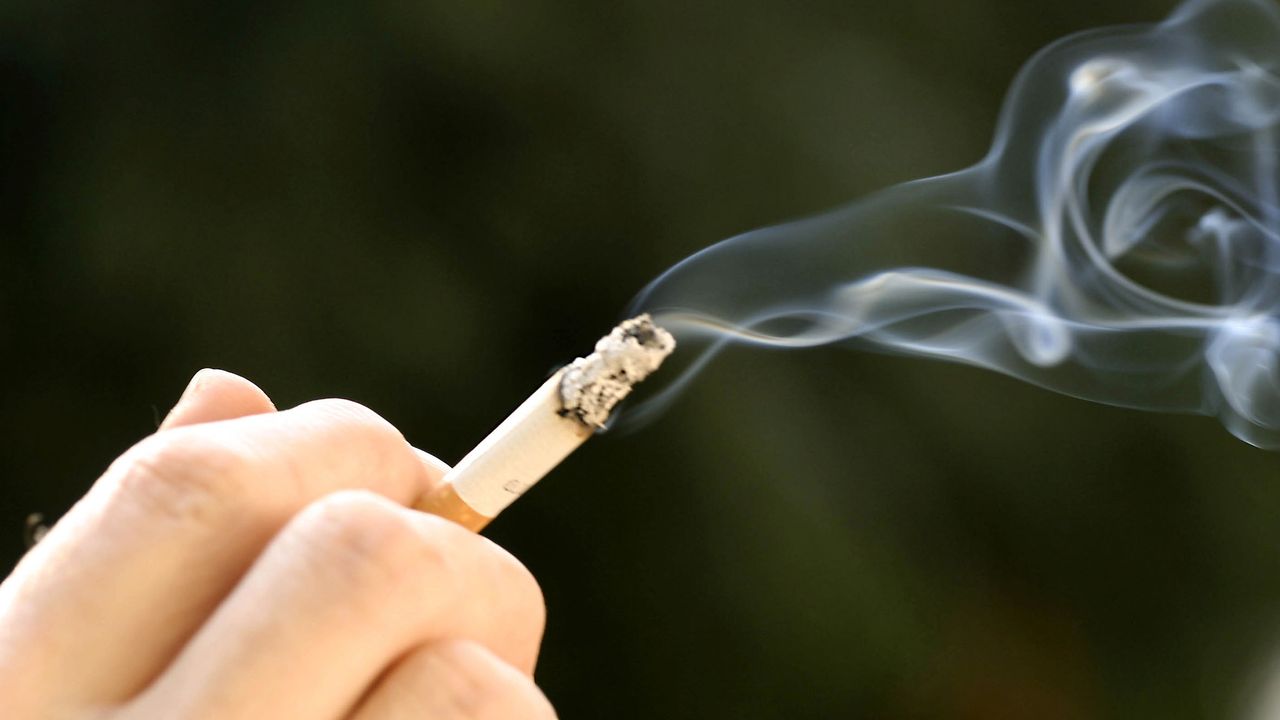 taiwan flavored cigarettes Kavey Eats » The Best Souvenirs to Buy in Taiwan