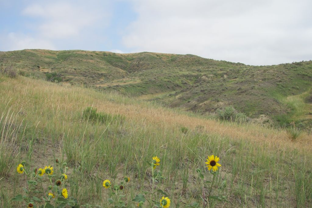 West Bijou Site