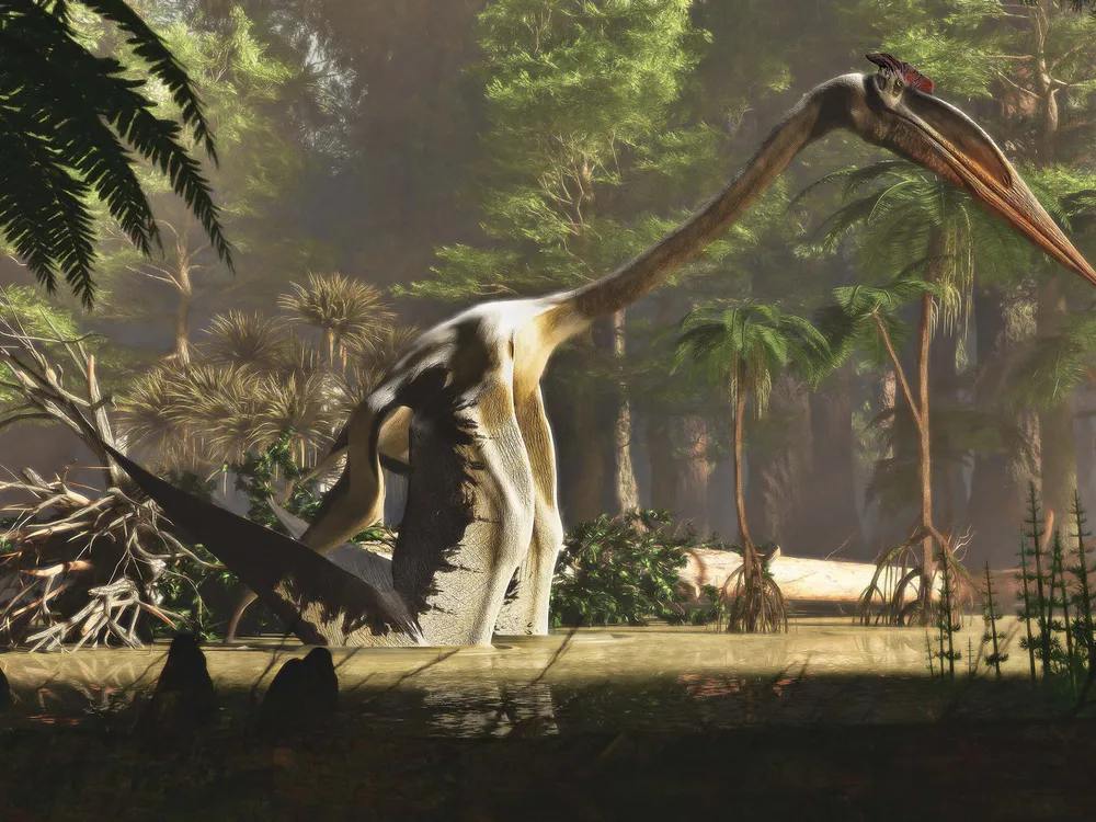 An illustration of Quetzalcoatlus walking through a marsh surrounded by lush trees. It walks on all fours with bat-like wings on its front legs; it's shaped like a giraffe with a small abdomen and a long neck. It has a huge head and a massive, pointy beak