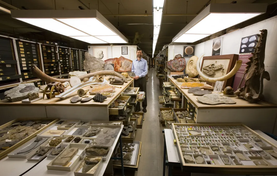 Person with fossils laid out in a museum storage space