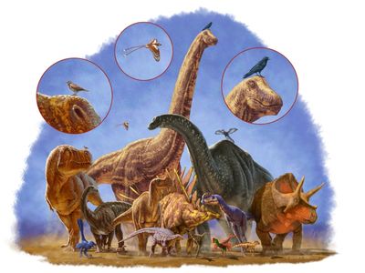 Dinosaurs came in all shapes and sizes, but only the small, feathered variety survived. 