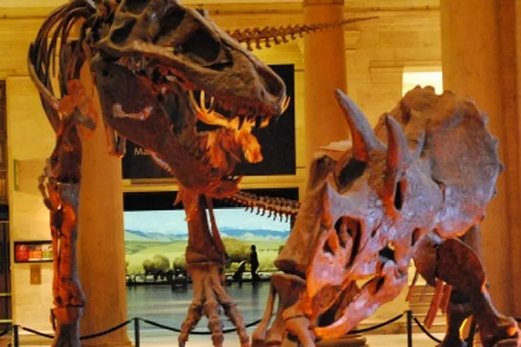Tyrannosaurus