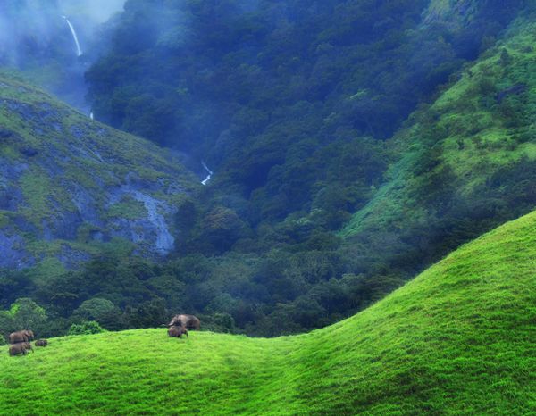 Guardians of the Green Peaks thumbnail