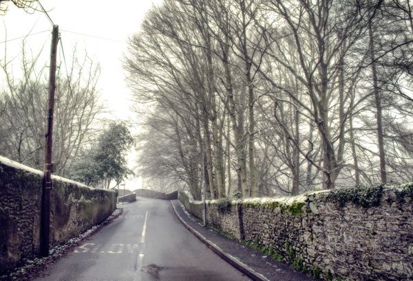 A Snowy Country Lane in Ireland thumbnail