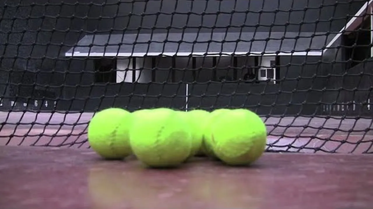 Preview thumbnail for Ins and Outs of Court Tennis