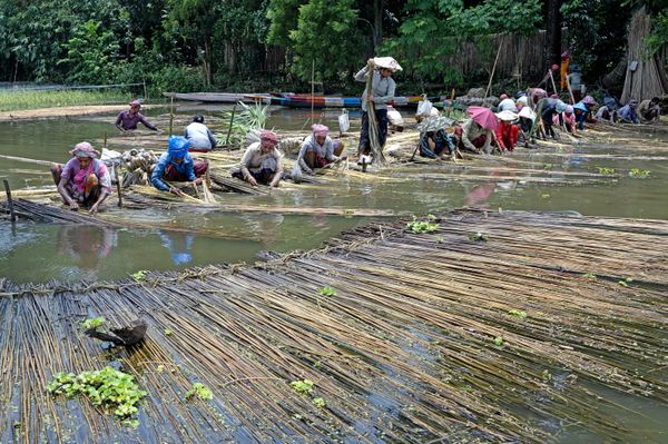 JUTE WORKERS thumbnail