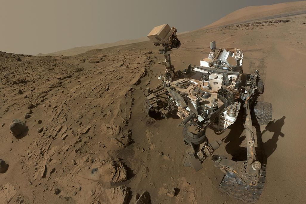 Curiosity Selfie - 1100.jpg