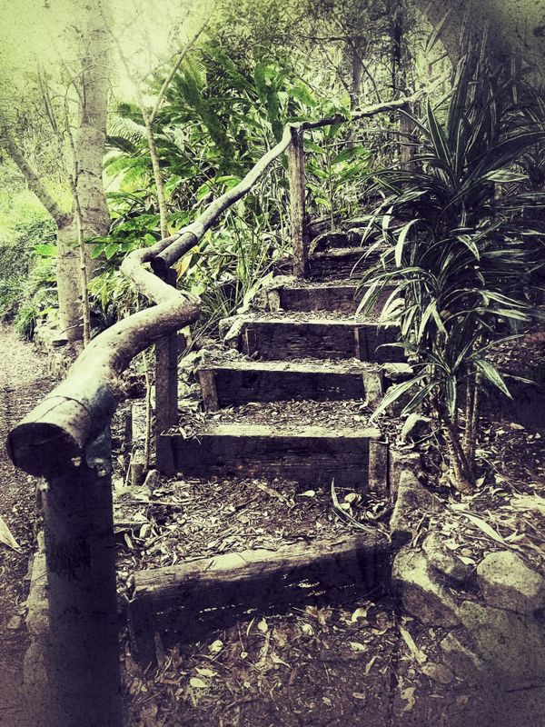 A Jungly Staircase in Sydney thumbnail