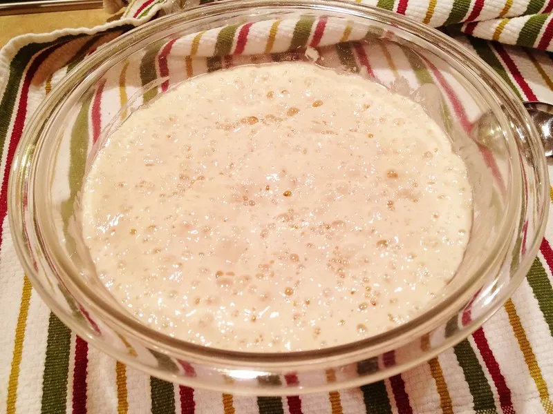 Sourdough bread starter