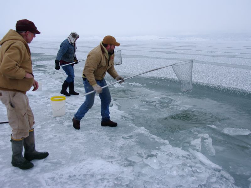 Cisco Fishing at Bear Lake, Utah Smithsonian Photo Contest