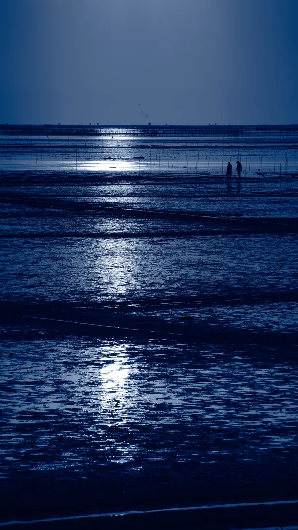 The Moon and the Human thumbnail