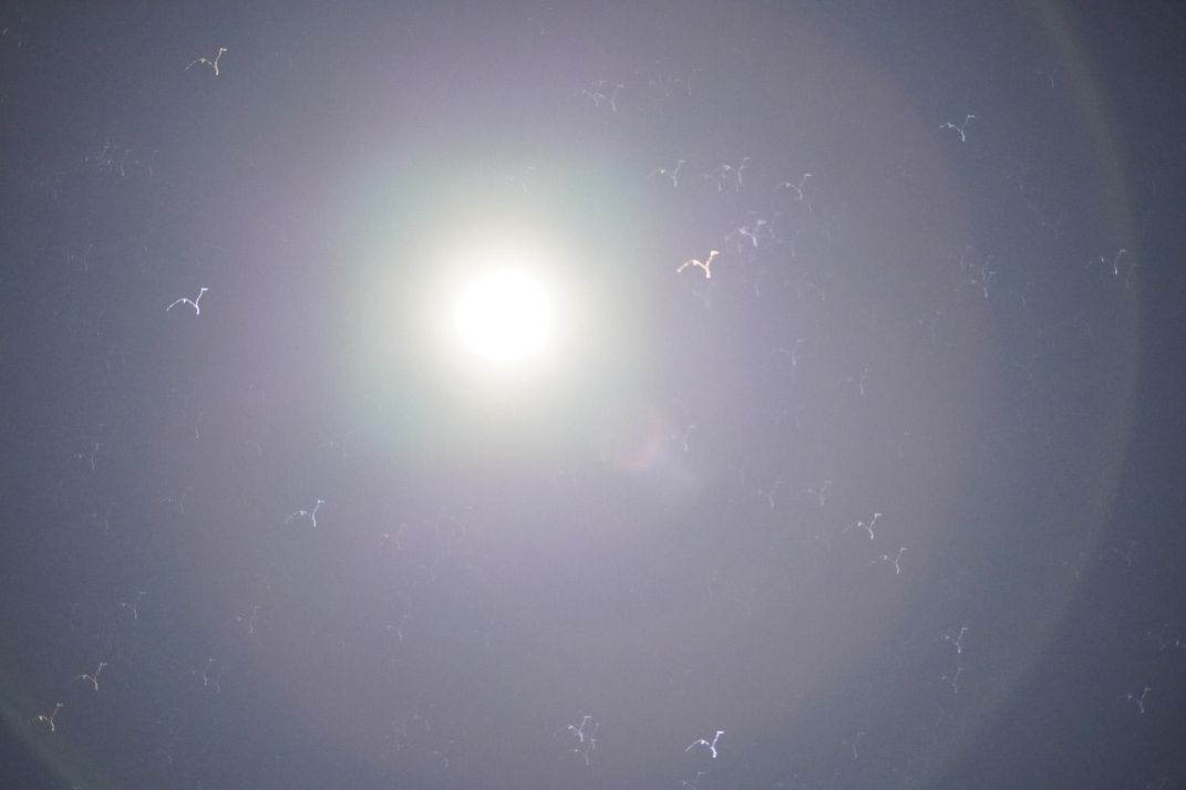 Stars above Maunakea