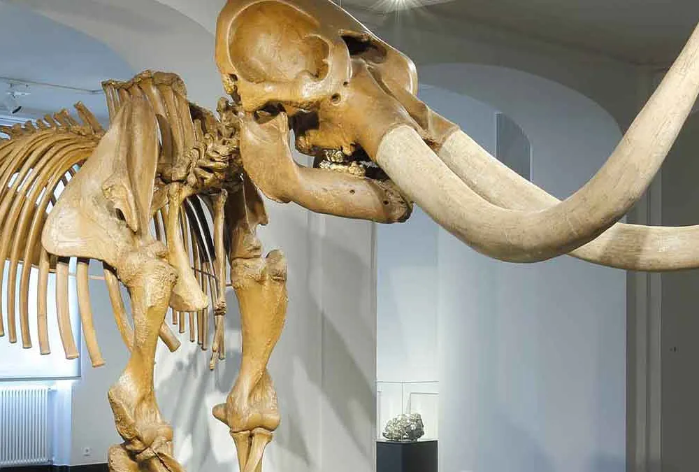 Longform Mastodon