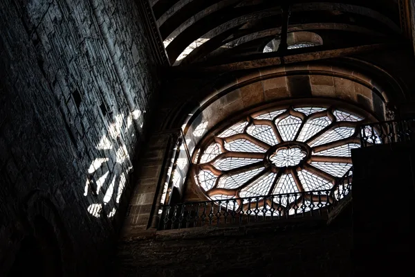 Light the dark thumbnail