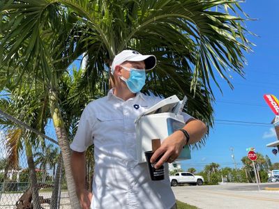 Oxitec placed six hexagonal boxes of mosquitoes on private properties in the Florida Keys. 