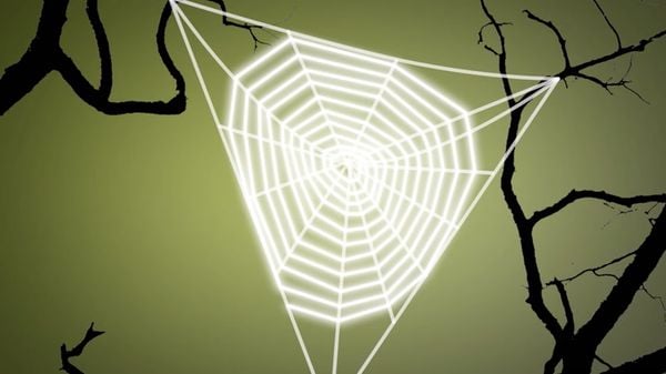 预览缩略图问史密森尼:蜘蛛如何织网?