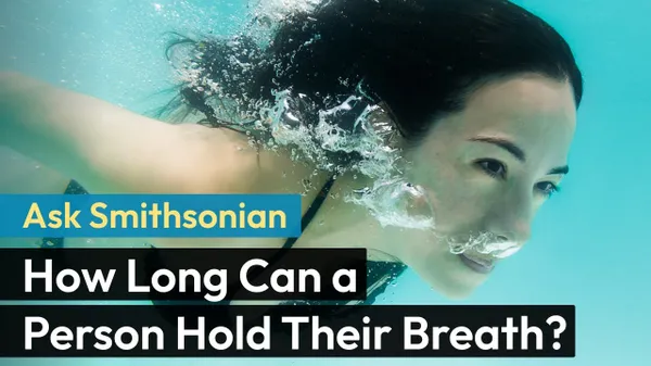 Preview thumbnail for Ask Smithsonian: How Long Can a Person Hold Their Breath?