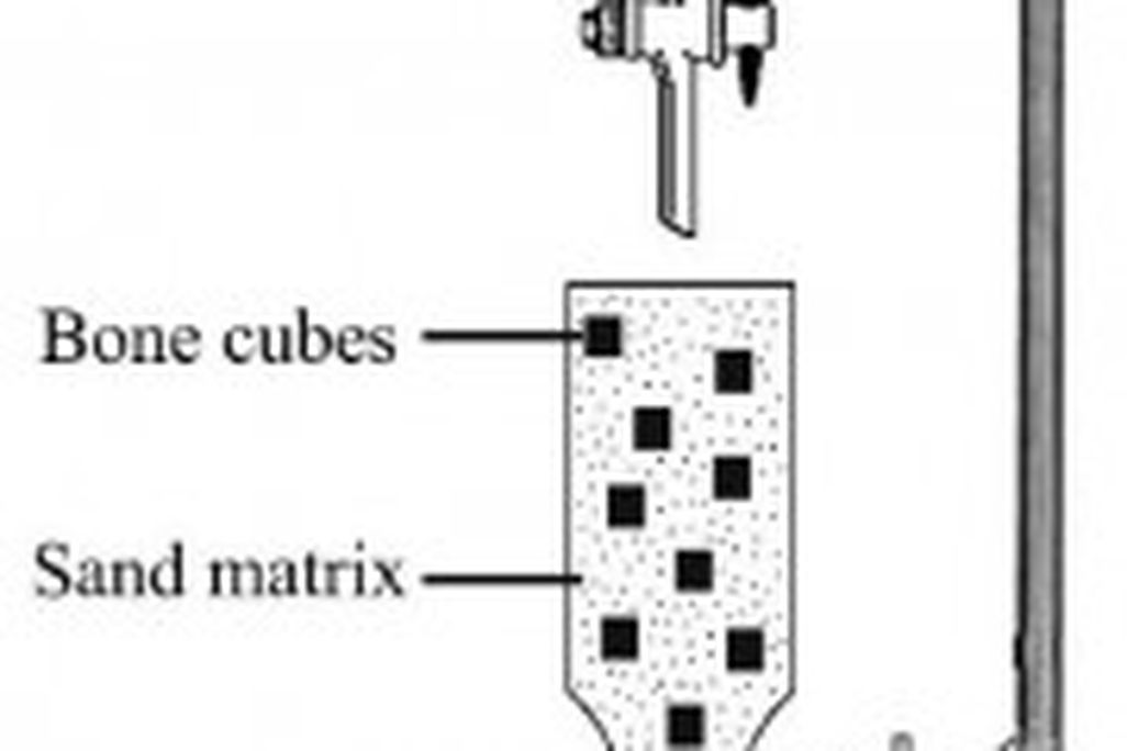 20110520083233bone-experimental-setup-180x300.jpg