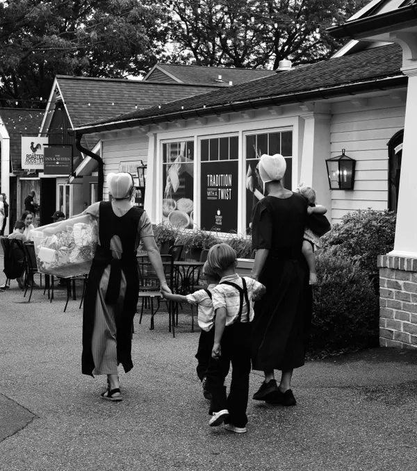 Tradition in Motion thumbnail