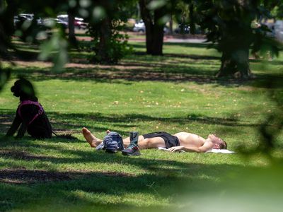 A resident and his dog sunbath at Zilker Park on June 27, 2023 in Austin, Texas.