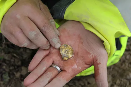 The gold bracteates served as a status symbol for sixth-century Scandinavian elites.