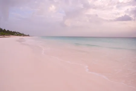 Pink Sands Beach, Harbour Island, The Bahamas