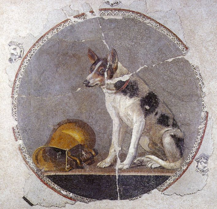 Photo of a second century mosaic from Egypt that depicts a dog with white fur and black and brown spots on its back and face standing to the right of a gold pitcher. The mosaic is in a circular shape, and outside the circle is crackled white tile from the