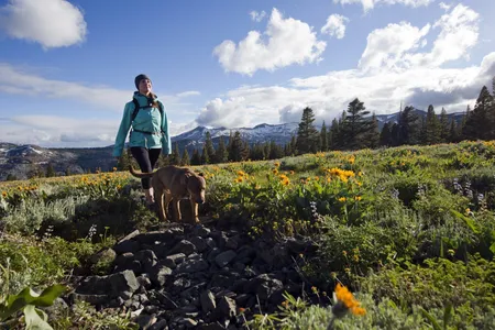 With Desolation Wilderness's Crystal Range in the background, a woman hikes with her dog through a field of wildflowers 