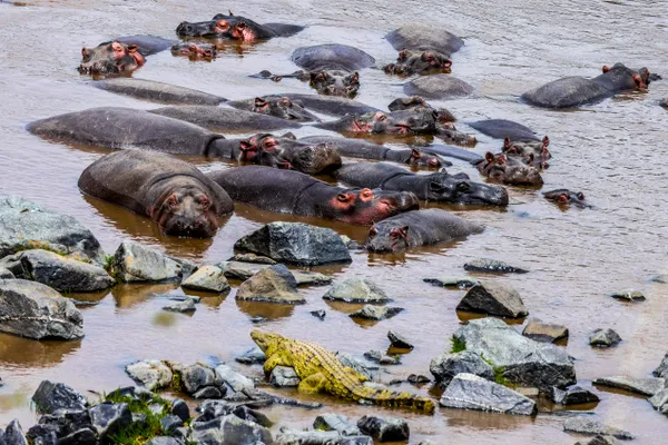 A snoozing life thumbnail