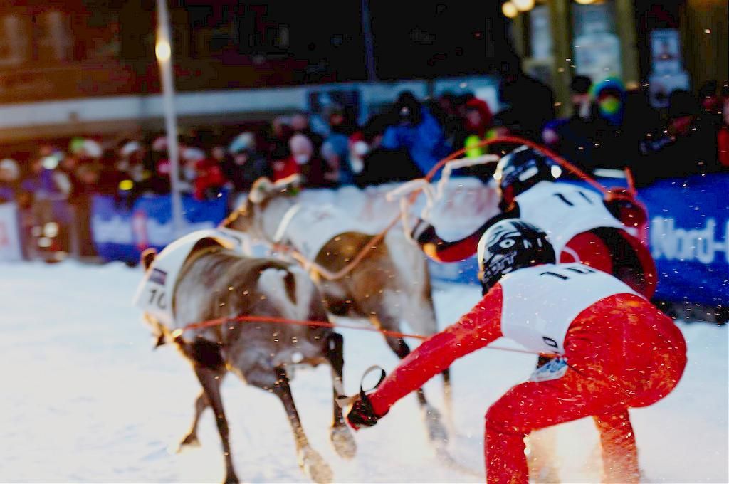 Reindeer Racing