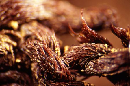 Flax yarn recovered from late Neolithic graves, heavily laden with resin. 