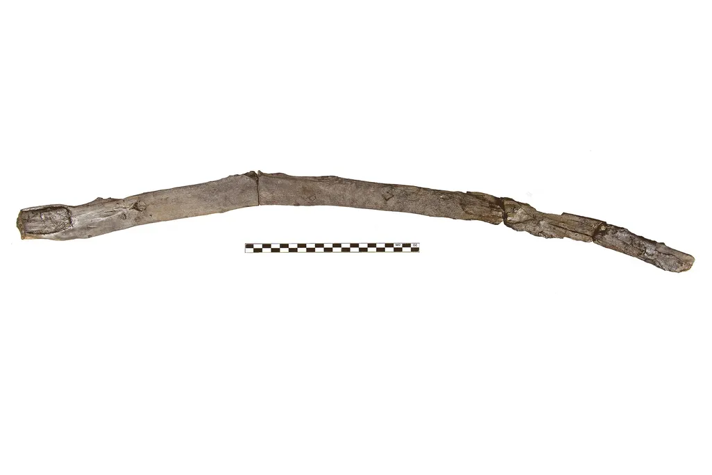 First Tool