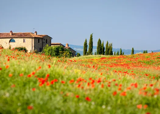 DISCOVER Tuscany and Umbria: Italy's Enchanting Hill Towns
