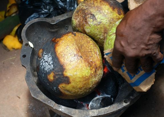 Breadfruits