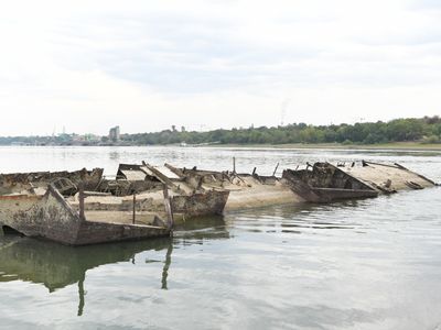 The Danube River Has Fallen to Record-Low Water Levels, Revealing Nazi Warships, Bombs and Woolly Mammoth Bones In Its Channel image