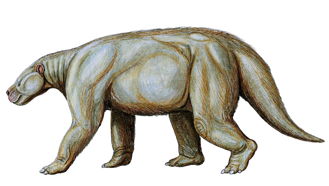 After Dinosaurs Went Extinct, These Ten Giant Creatures Roamed the Earth, Science