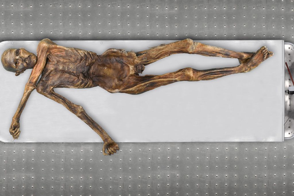 Otzi the Iceman