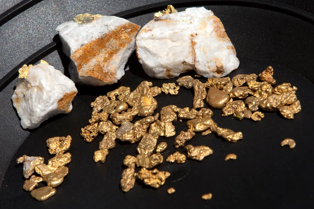gold in a gold pan