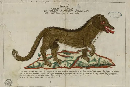 The beast of Gévaudan terrorized French villagers for three years, killing around 100 and injuring nearly 300. 